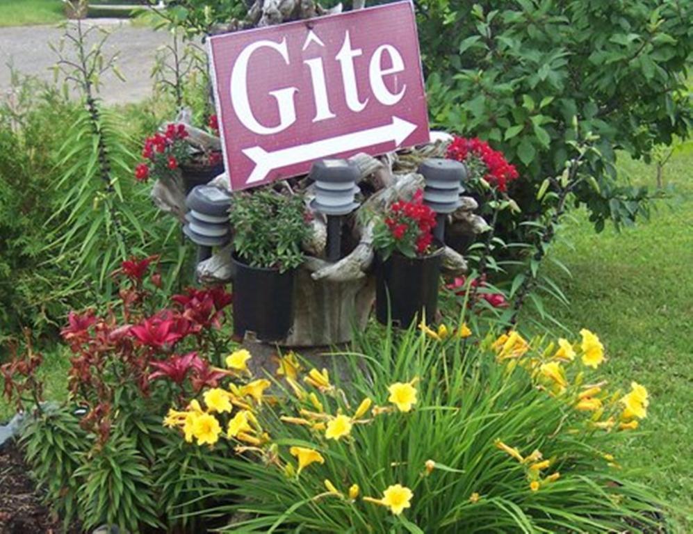 Gite La Ptite Falaise Hebergement Touristique Sainte Anne-des-Chênes Exterior foto